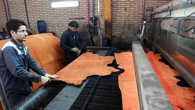 Leather production