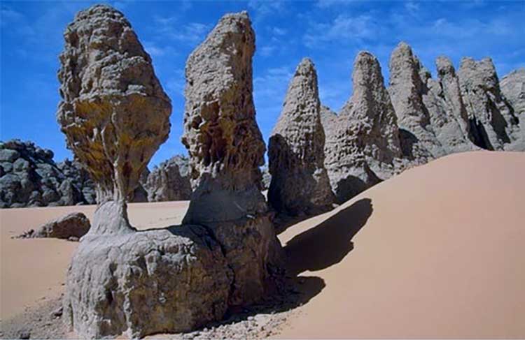 پارک ملی کویر
