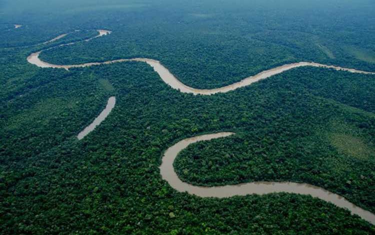 بزرگترین پارک جنگلی جهان به ترتیب و آمار