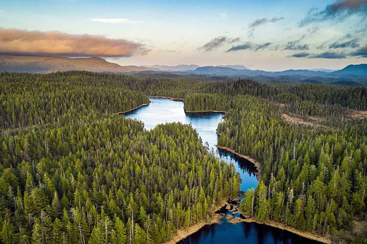 پارک ملی تونگاس